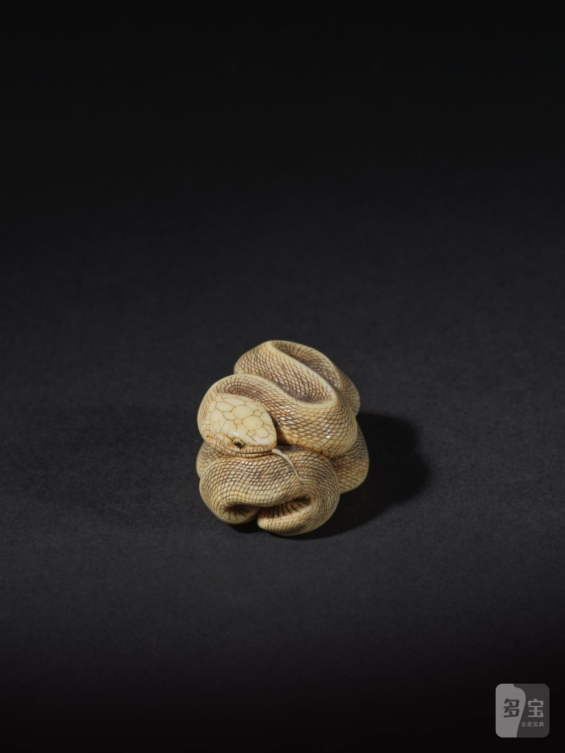 象牙彫根付 蛇 銘「忠義」 19世紀後期/20世紀前期 | NETSUKE EN IVOIRE REPRÉSENTANT UN SERPENT - 图5
